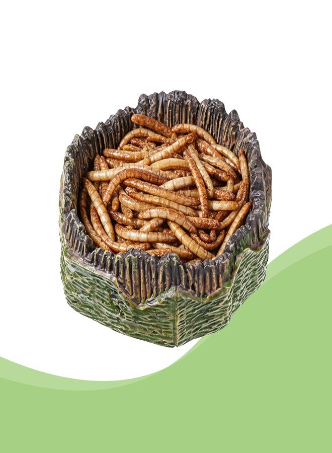 قطعتان من أطباق طعام الزواحف الصغيرة، أطباق ماء الزواحف، أوعية طعام الزواحف، أوعية راتنجية لتغذية الزواحف، مناسبة للتنين الملتحي، والوزغة، والضفدع، والثعبان، والحرباء، والسلحفاة. - Image 3